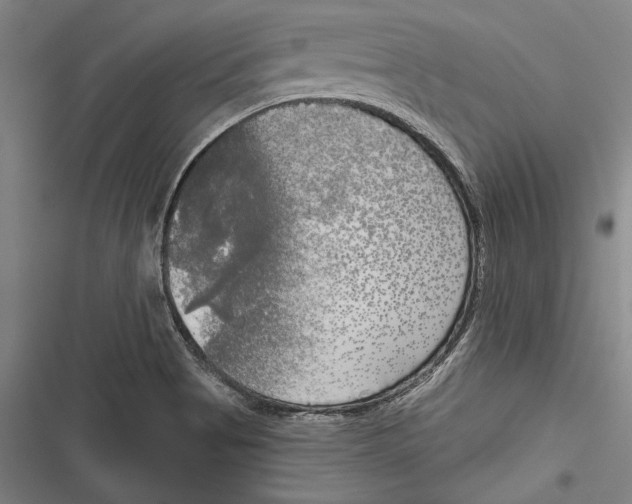 X0000116851513201001121209