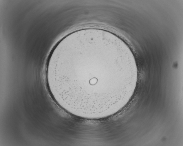 X0000116851514201001121209