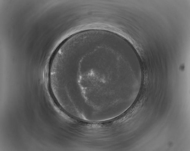 X0000116851515201001121209