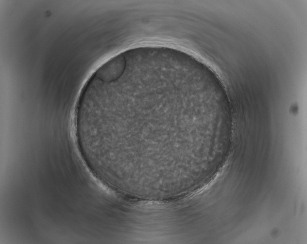 X0000116851517201001121209