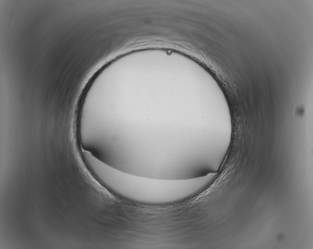 X0000116851518201001121209