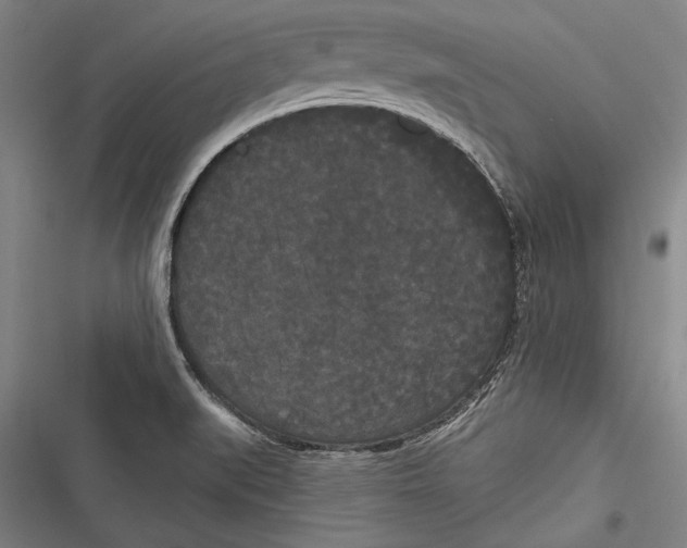 X0000116851519201001121209