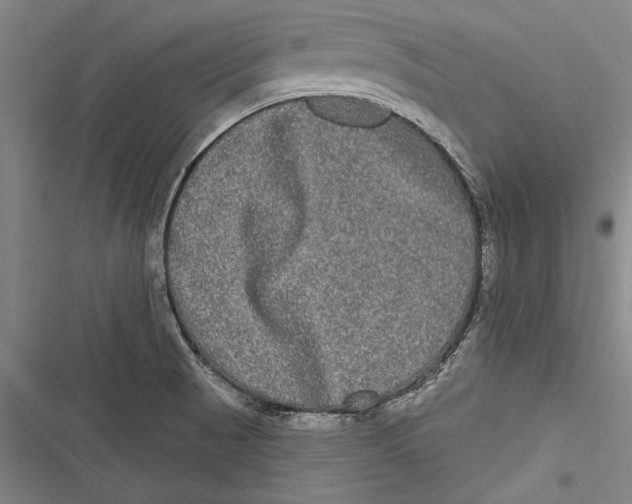 X0000116851521201001121209