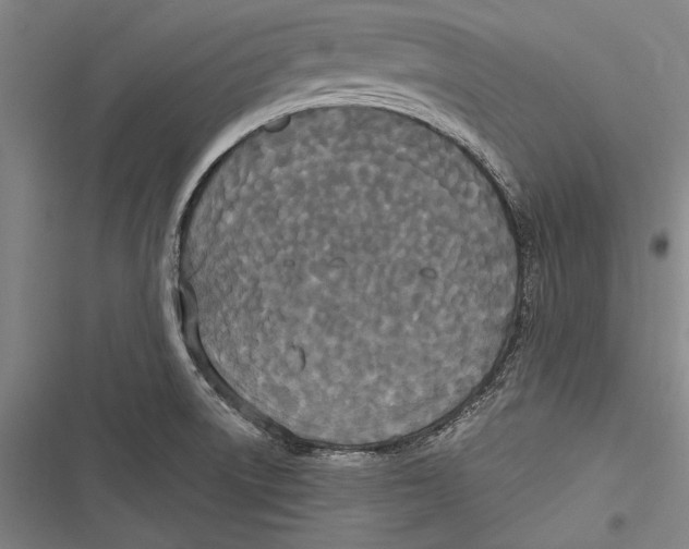 X0000116851522201001121209