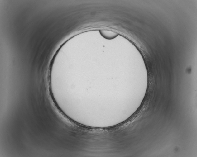 X0000116851526201001121209