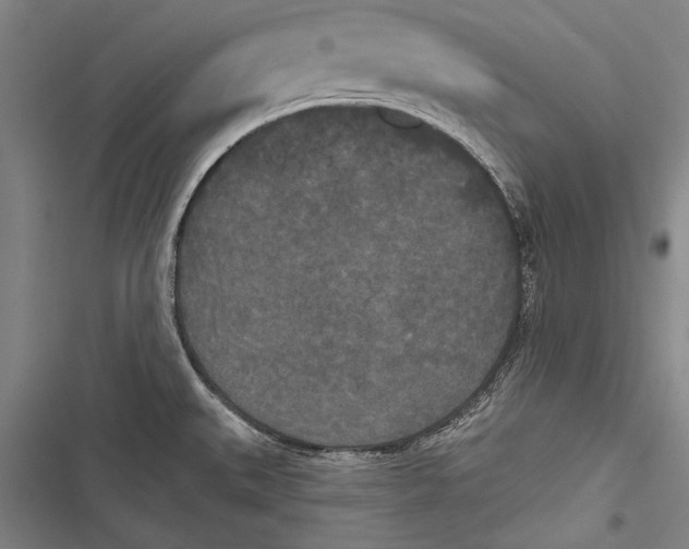 X0000116851527201001121209