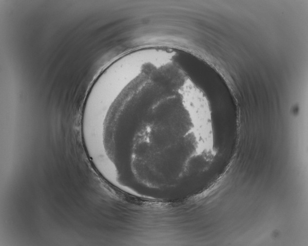 X0000116851529201001121209