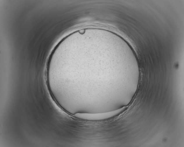 X0000116851531201001121209