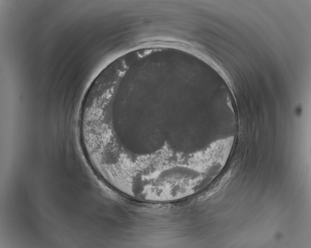 X0000116851533201001121209