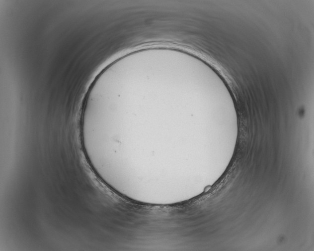 X0000116851534201001121209