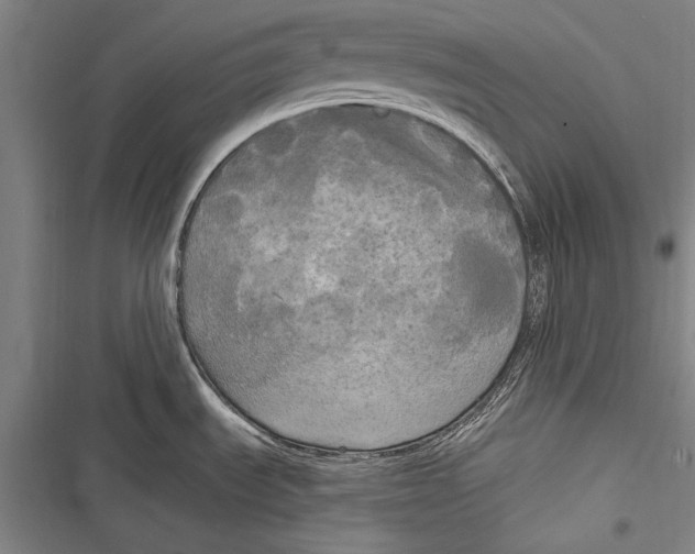 X0000116851535201001121209