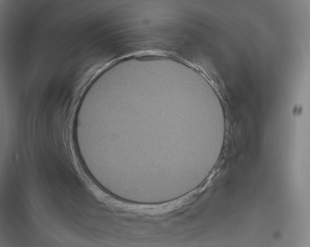 X0000116850001201001191650