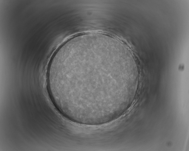 X0000116850002201001191650
