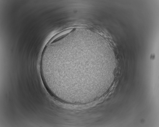 X0000116850003201001191650