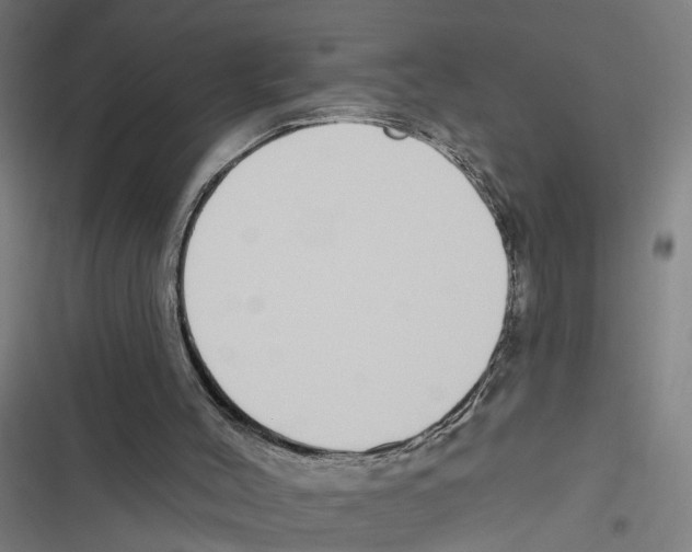 X0000116850004201001191650