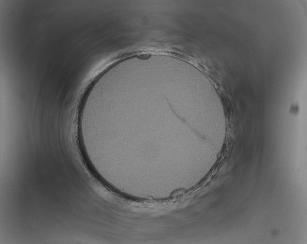 X0000116850005201001191650