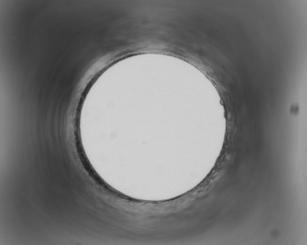 X0000116850007201001191650
