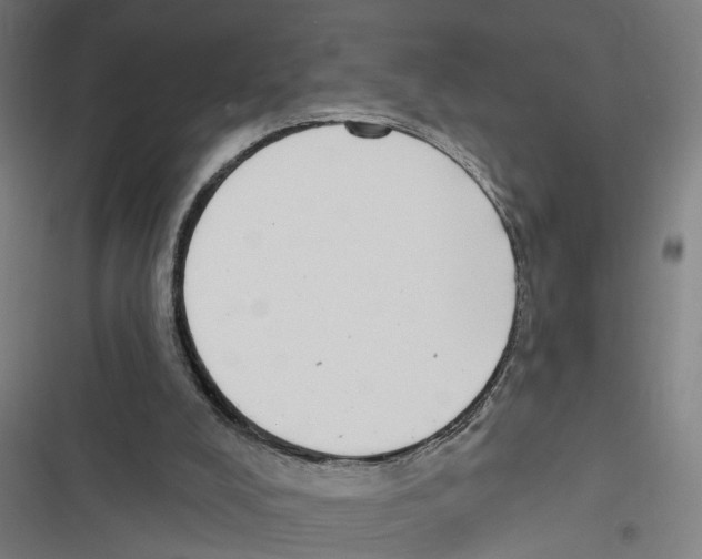 X0000116850008201001191650