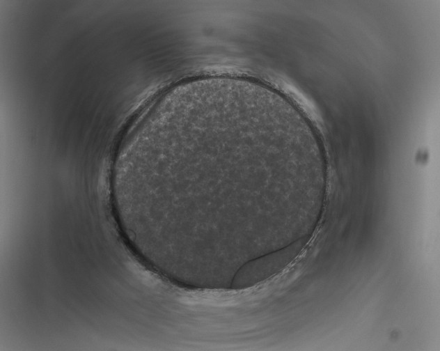 X0000116850009201001191650