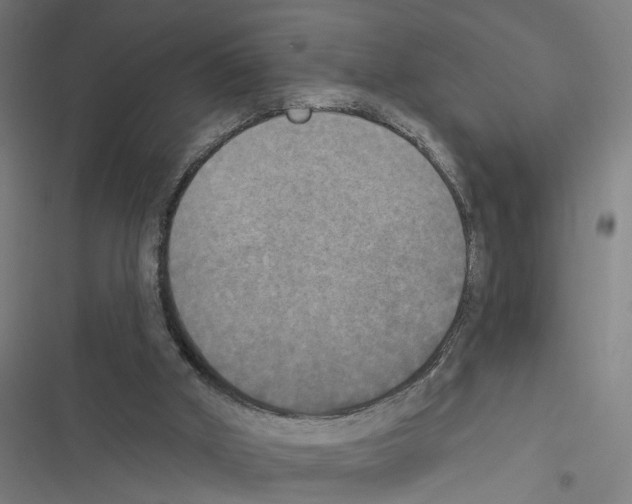 X0000116850010201001191650