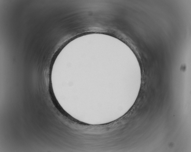 X0000116850011201001191650