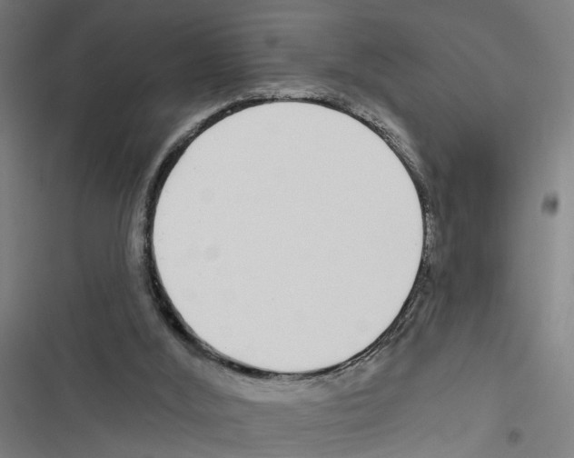 X0000116850012201001191650