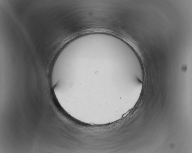 X0000116850013201001191650