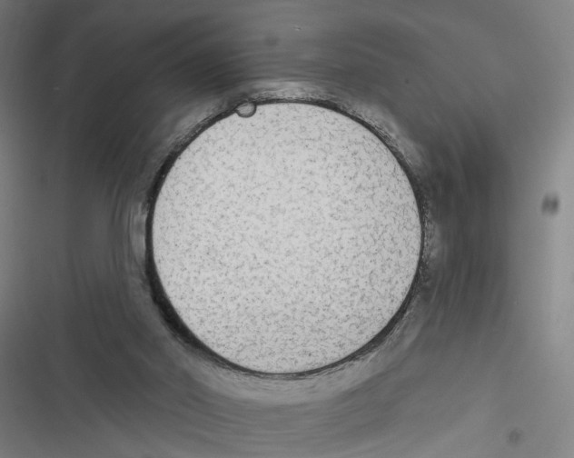 X0000116850014201001191650