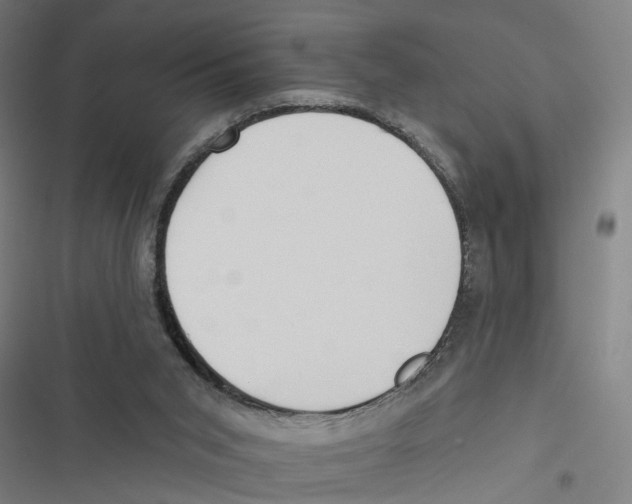 X0000116850015201001191650