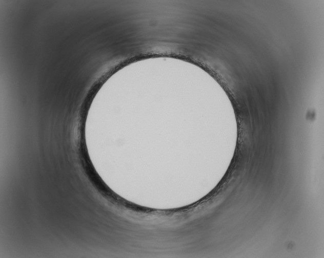 X0000116850016201001191650