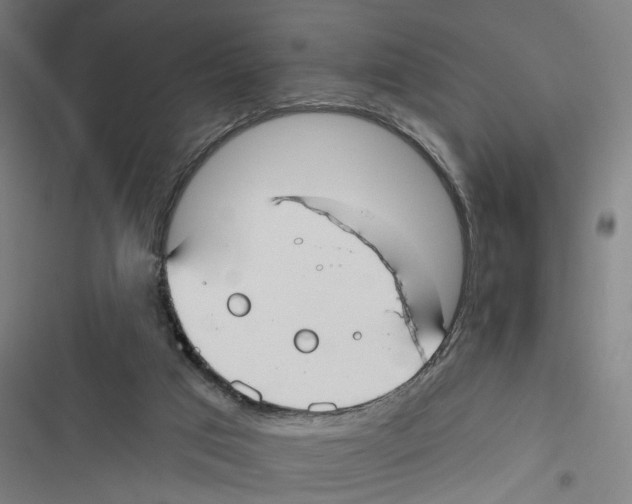 X0000116850017201001191650