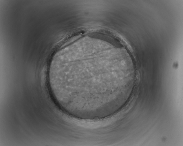 X0000116850018201001191650