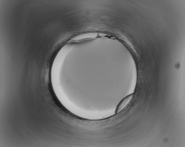 X0000116850019201001191650