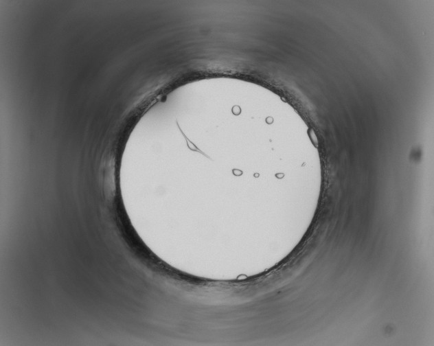 X0000116850020201001191650
