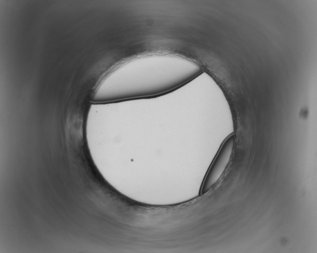 X0000116850021201001191650