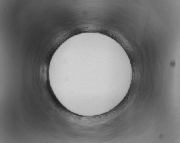 X0000116850022201001191650