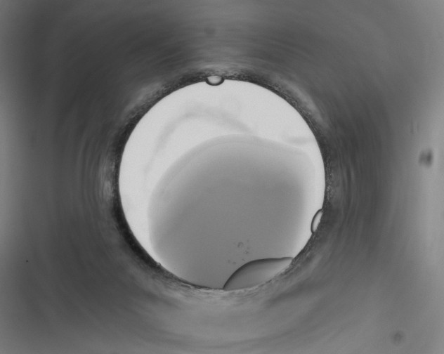 X0000116850023201001191650