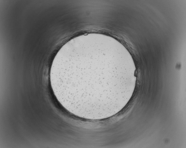 X0000116850024201001191650