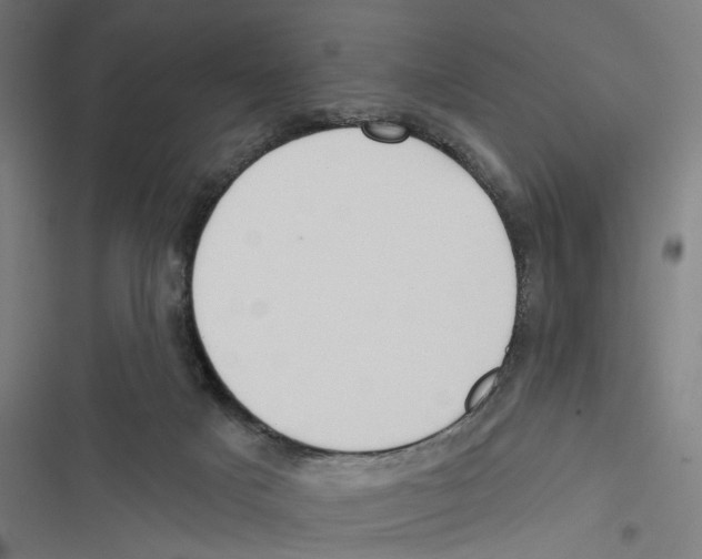 X0000116850025201001191650