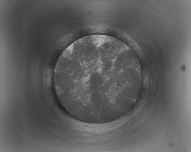 X0000116850026201001191650