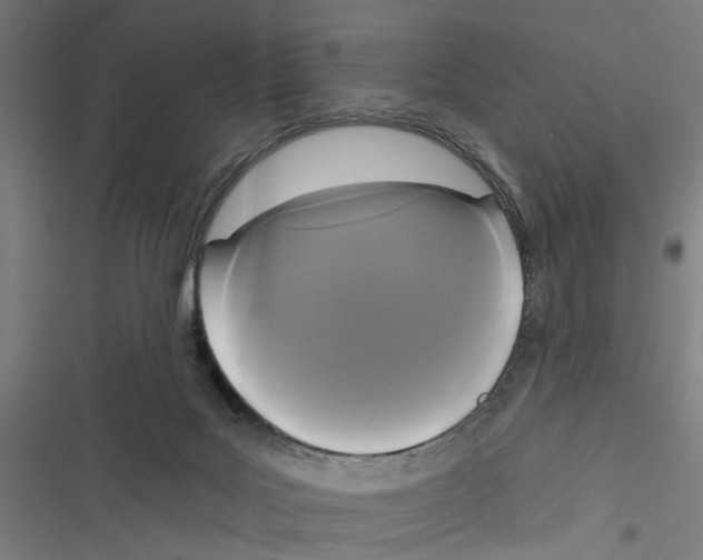 X0000116850027201001191650