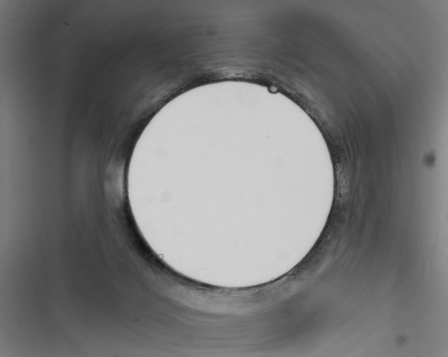 X0000116850028201001191650