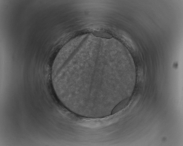 X0000116850029201001191650