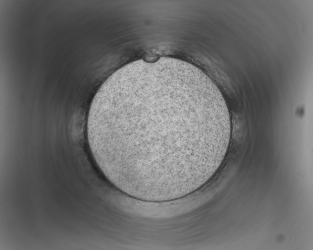 X0000116850030201001191650