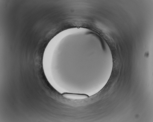 X0000116850031201001191650