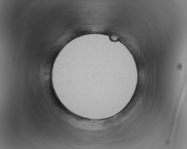 X0000116850032201001191650