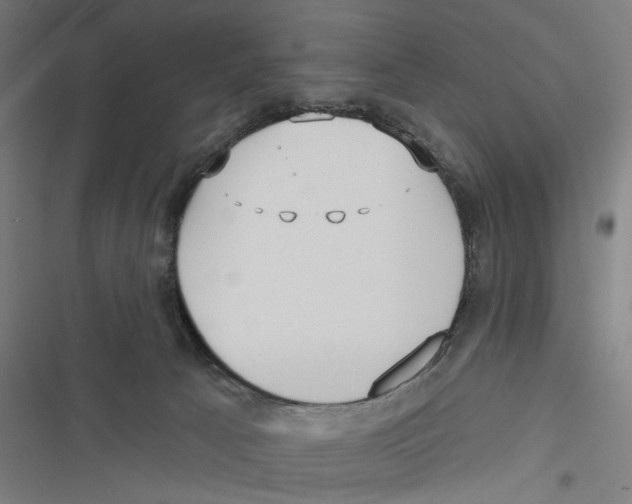 X0000116850033201001191650
