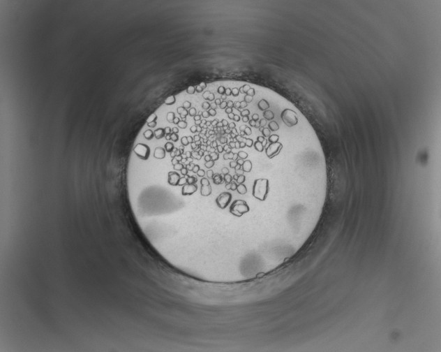 X0000116850034201001191650
