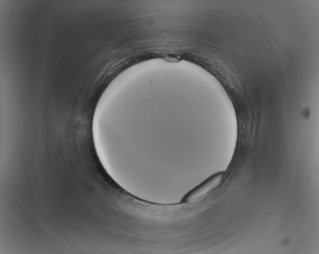 X0000116850035201001191650