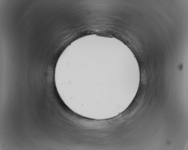 X0000116850036201001191650